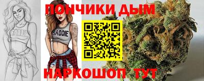 крисы Вязьма