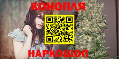 крисы Вязьма