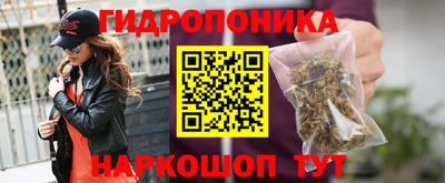 крисы Вязьма
