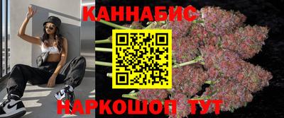 крисы Вязьма