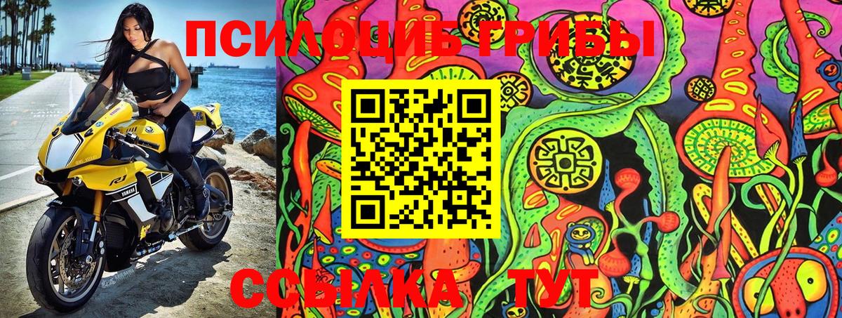 Камышин  Псилоцибиновые грибы Magic Shrooms  Вход с VPN 